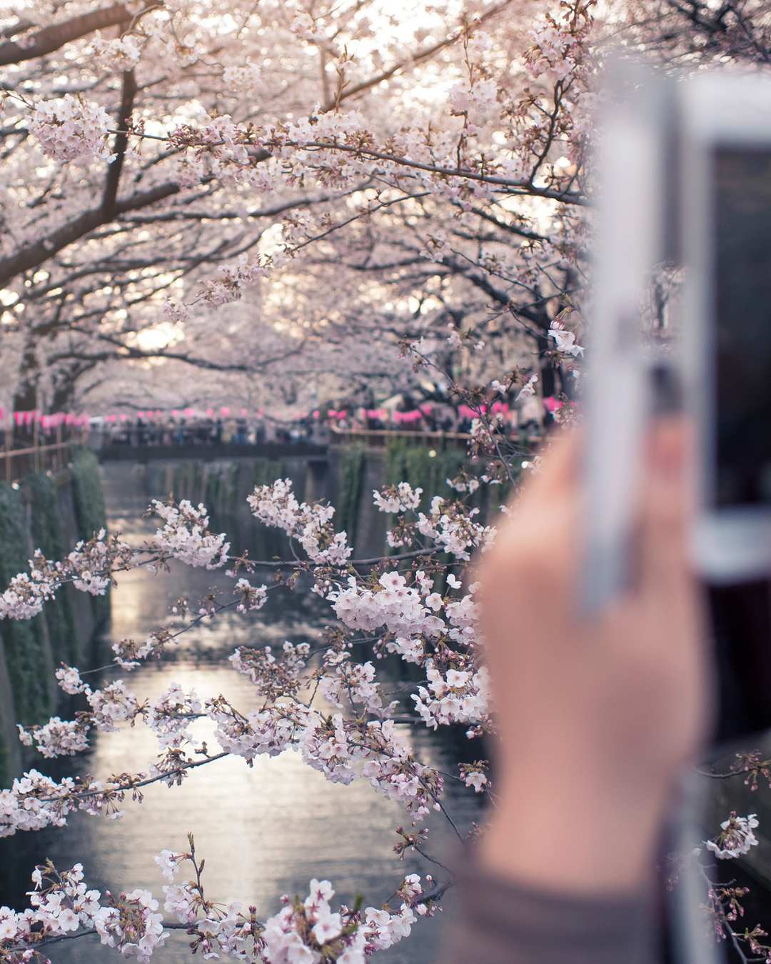 ✈️ Cómo planificar un buen viaje (y por qué un travel planner puede cambiarlo todo)